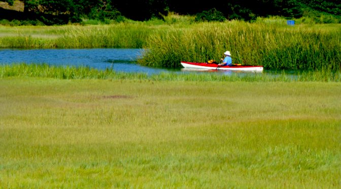 Kayaking On The Creeks Of Cape Cod