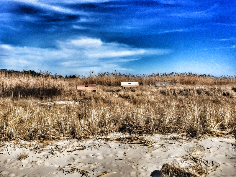 Another Perfect Picnic Spot On Cape Cod Bay Cape Cod Blog