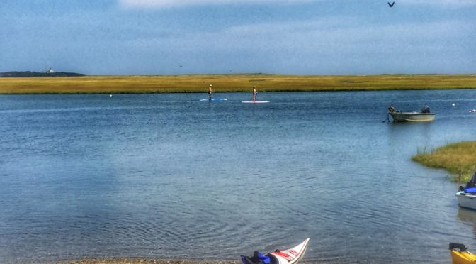 Paddle Boarders At Nauset Marsh On Cape Cod