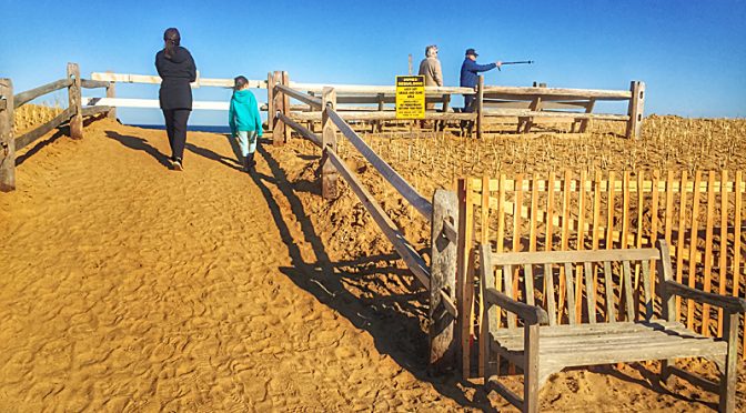 New Viewing Platform At Nauset Beach On Cape Cod