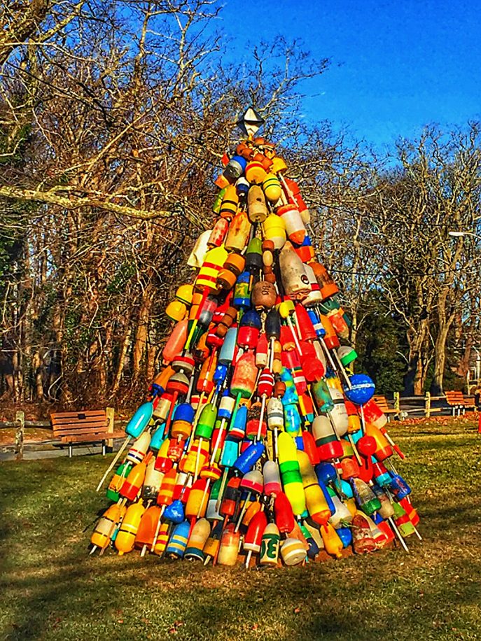 An Authentic Cape Cod Christmas Tree! | Cape Cod Blog