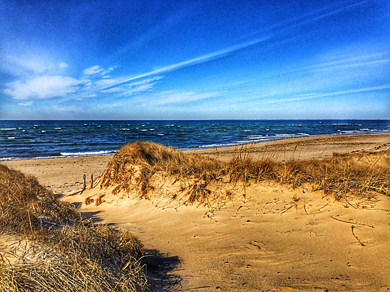 Beautiful Trail To Duck Harbor Beach In Wellfleet On Cape Cod. | Cape ...