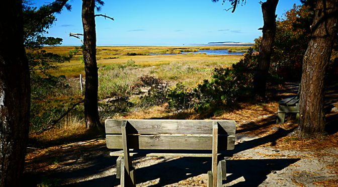 So Many Benches To View The Gorgeous Views On Cape Cod!