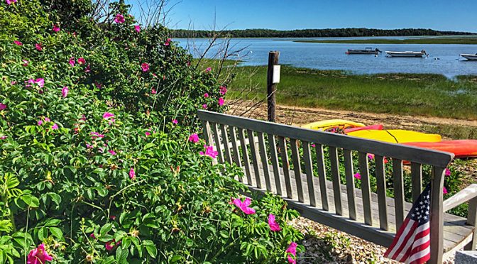 Hemenway Landing On Cape Cod Has The Perfect Bench!