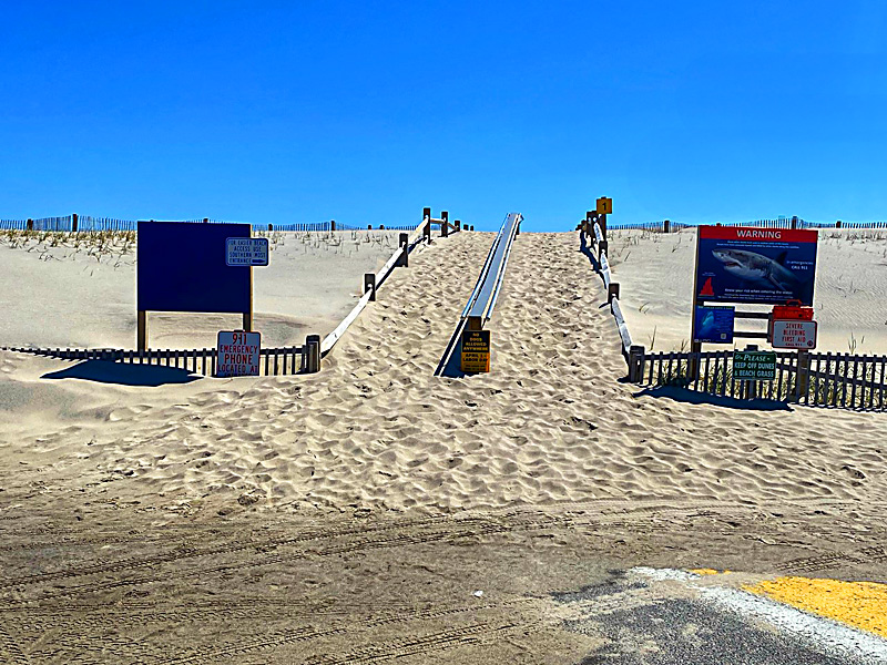 The Trail To Nauset Beach On Cape Cod. | Cape Cod Blog