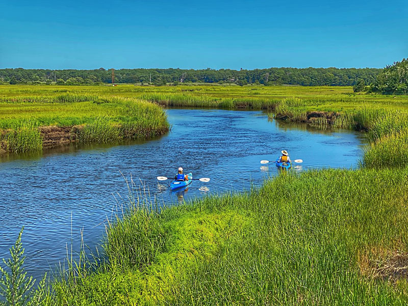 Kayaking On The Salt Marsh On Cape Cod. Cape Cod Blog