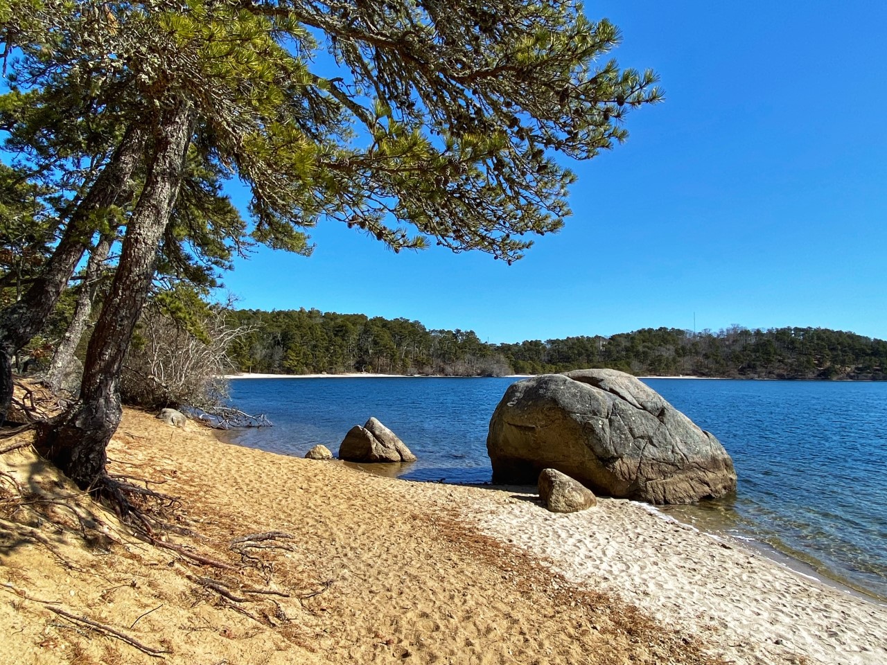 Huge Glacial Rocks At Nickerson State Park On Cape Cod.  Cape Cod Blog