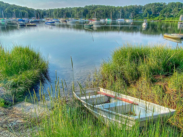 Arey’s Pond On Cape Cod. | Cape Cod Blog