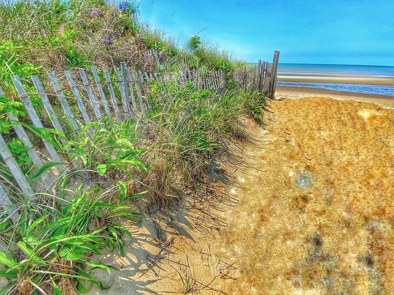 Always Love These Iconic Cape Cod Beach Fences Cape Cod Blog