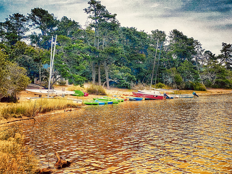 Nickerson State Park On Cape Cod Is Busy This Summer. | Cape Cod Blog