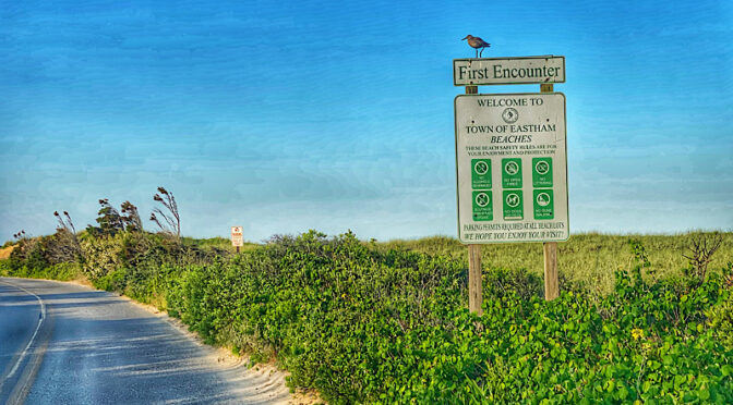 The Welcoming Committee At First Encounter Beach On Cape Cod.