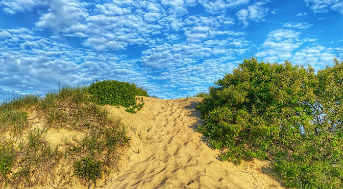 The Dunes At First Encounter Beach On Cape Cod.