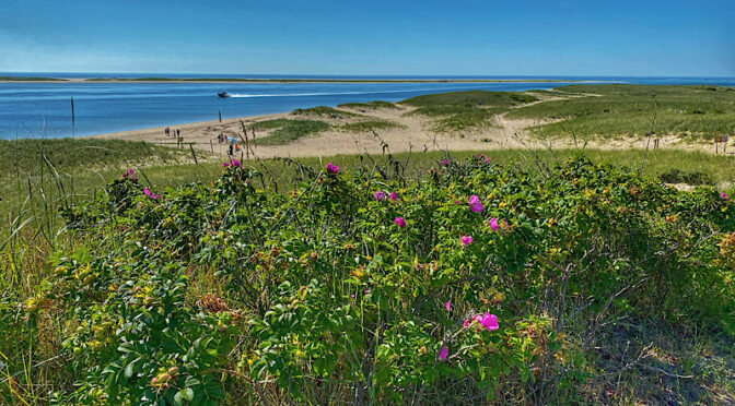 Pretty View From Chatham On Cape Cod.