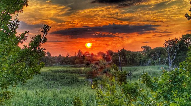 Sunrise From The Bike Trail On Cape Cod.