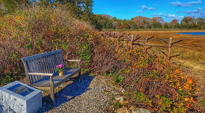 Getting Ready For Winter At Hemenway Landing On Cape Cod.