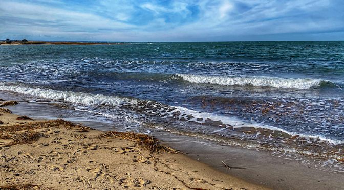 Yesterday Was Windy And Cold At Boat Meadow Beach On Cape Cod.