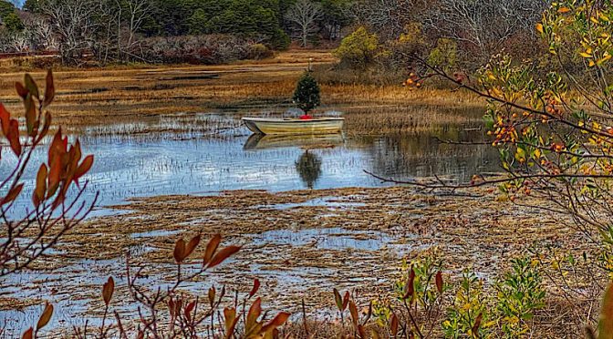 Christmas On The Salt Marsh On Cape Cod.