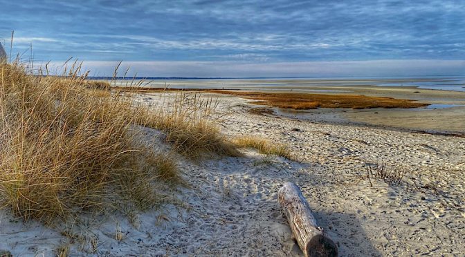 Skaket Beach On Cape Cod At Low Tide.