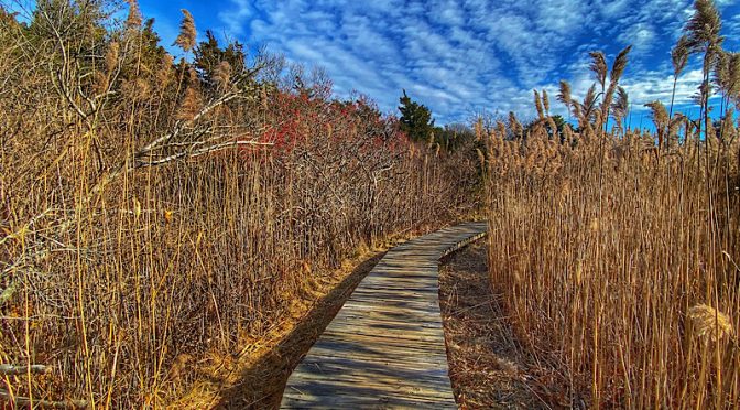 The Other Boardwalk To Coast Guard Beach On Cape Cod.