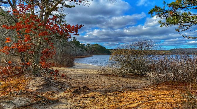 Cliff Pond In Nickerson State Park On Cape Cod.