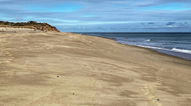 Coast Guard Beach On Cape Cod In Winter.