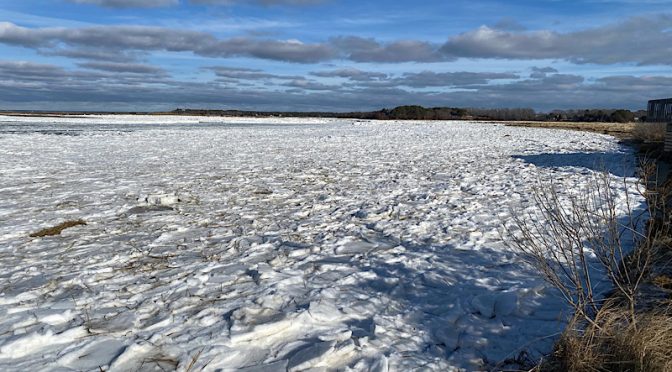 Boat Meadow Beach On Cape Cod Is Frozen!