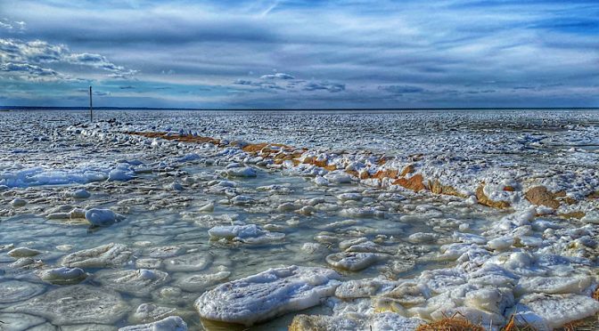 Where Is The Jetty At Rock Harbor On Cape Cod?