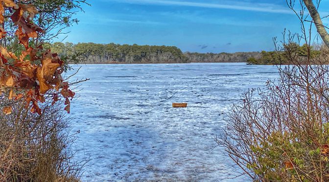 Wiley Park In The Snow On Cape Cod.