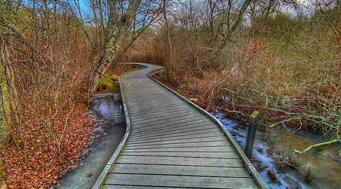 The Boardwalk At Fort Hill On Cape Cod.