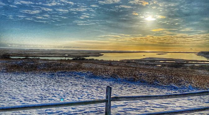 New-Fallen Snow Yesterday Morning At Fort Hill On Cape Cod.