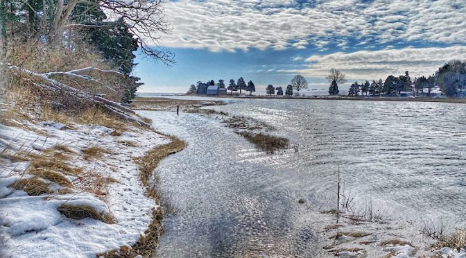 The Fork On the Nauset Marsh Trail On Cape Cod.